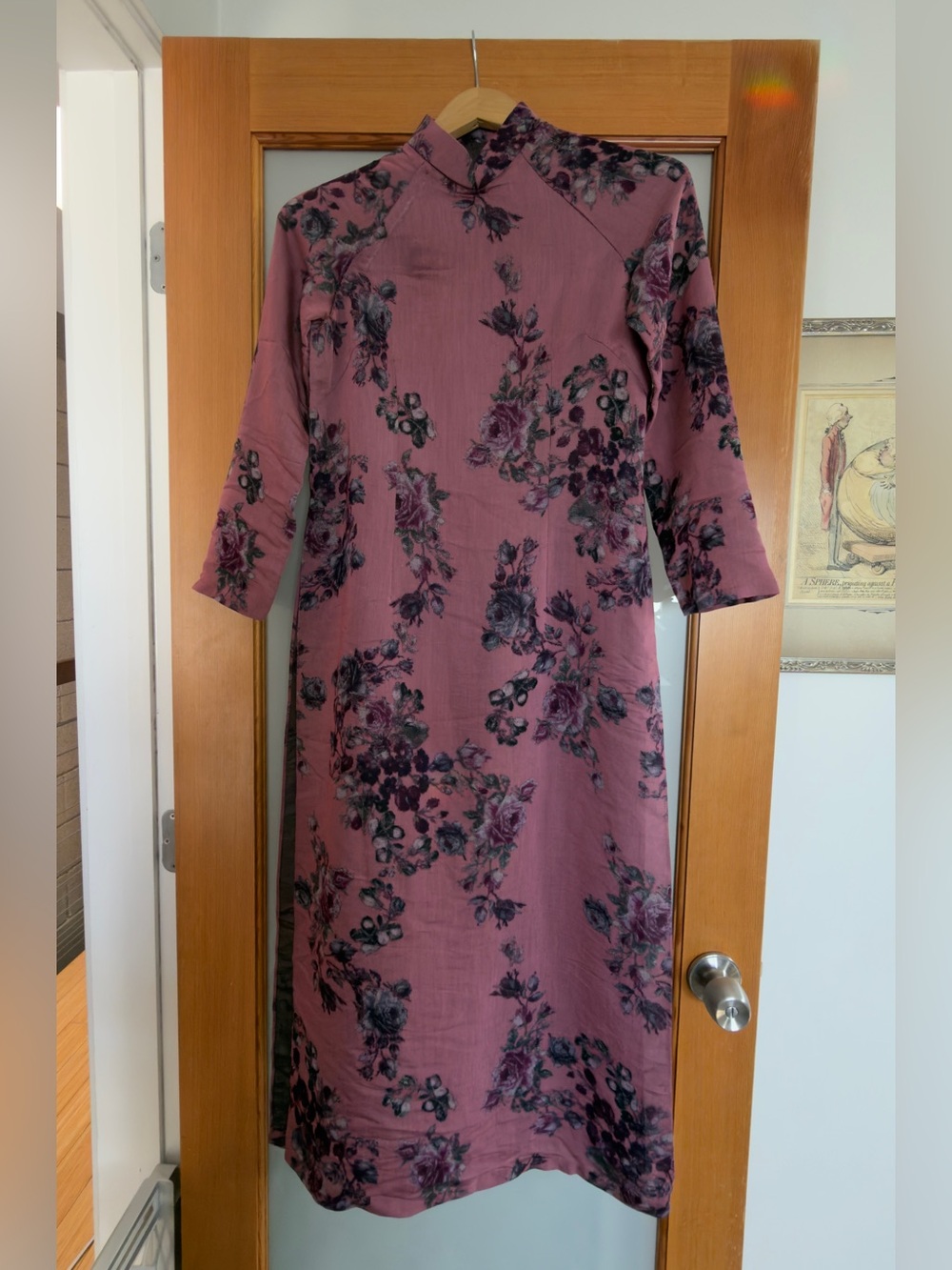 Vietnamese long dress, the áo dài